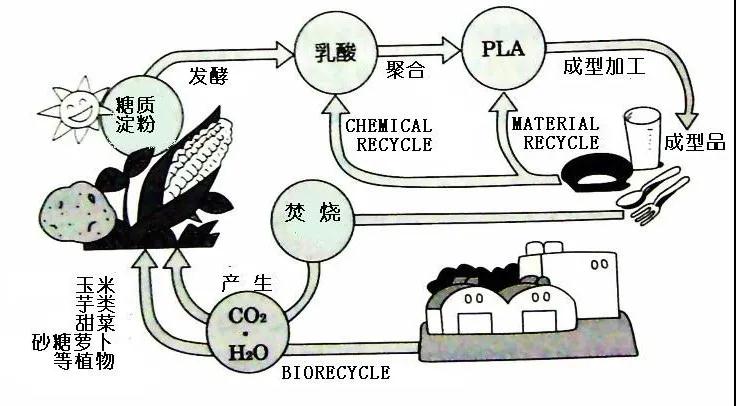 可生物降解環保塑料可以回收再利用嗎？(圖4)